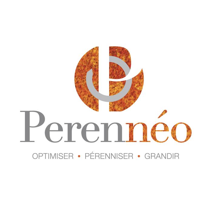 studio-creation-logo-graphique-vire-perenneo