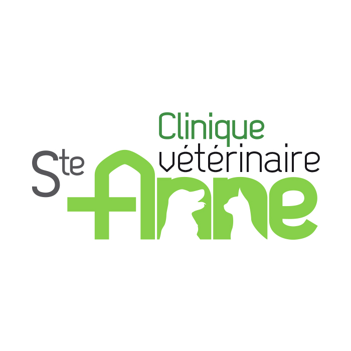 studio-creation-logo-graphique-vire-veterinaire-ste-anne